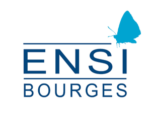 École_nationale_supérieure_d'ingénieurs_de_Bourges_(logo)