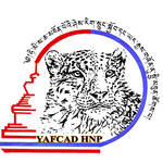Logo leopard Yafcad
